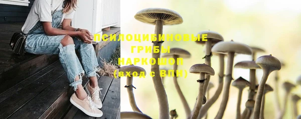 мдпв Верхний Тагил