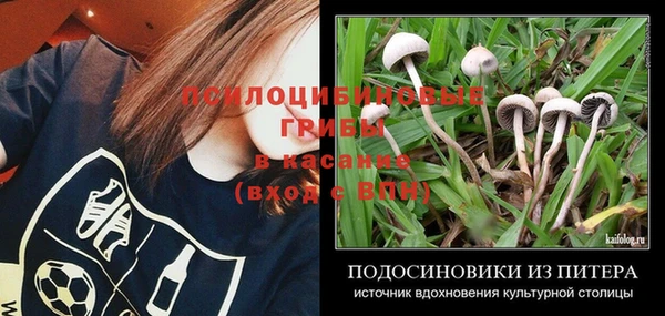 соль ск Верхнеуральск