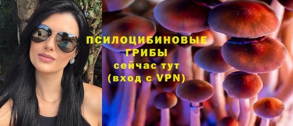 не бодяженный Верея